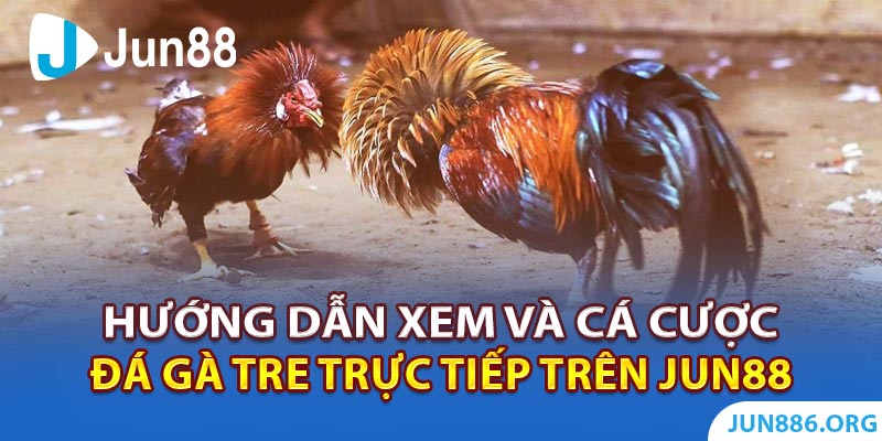 Trải nghiệm ST666: Hướng dẫn chi tiết cách mua thẻ Zing đơn giản và nhanh chóng